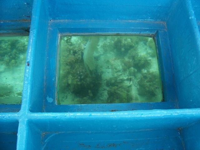 100_2116.JPG