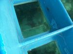 100_2119.JPG