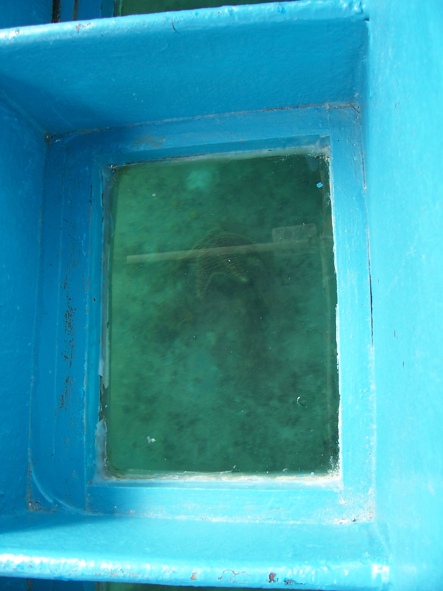 100_2124.JPG