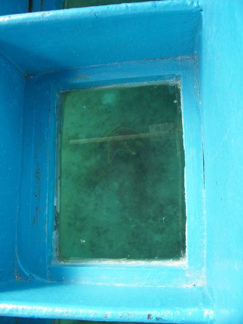 100_2124.JPG