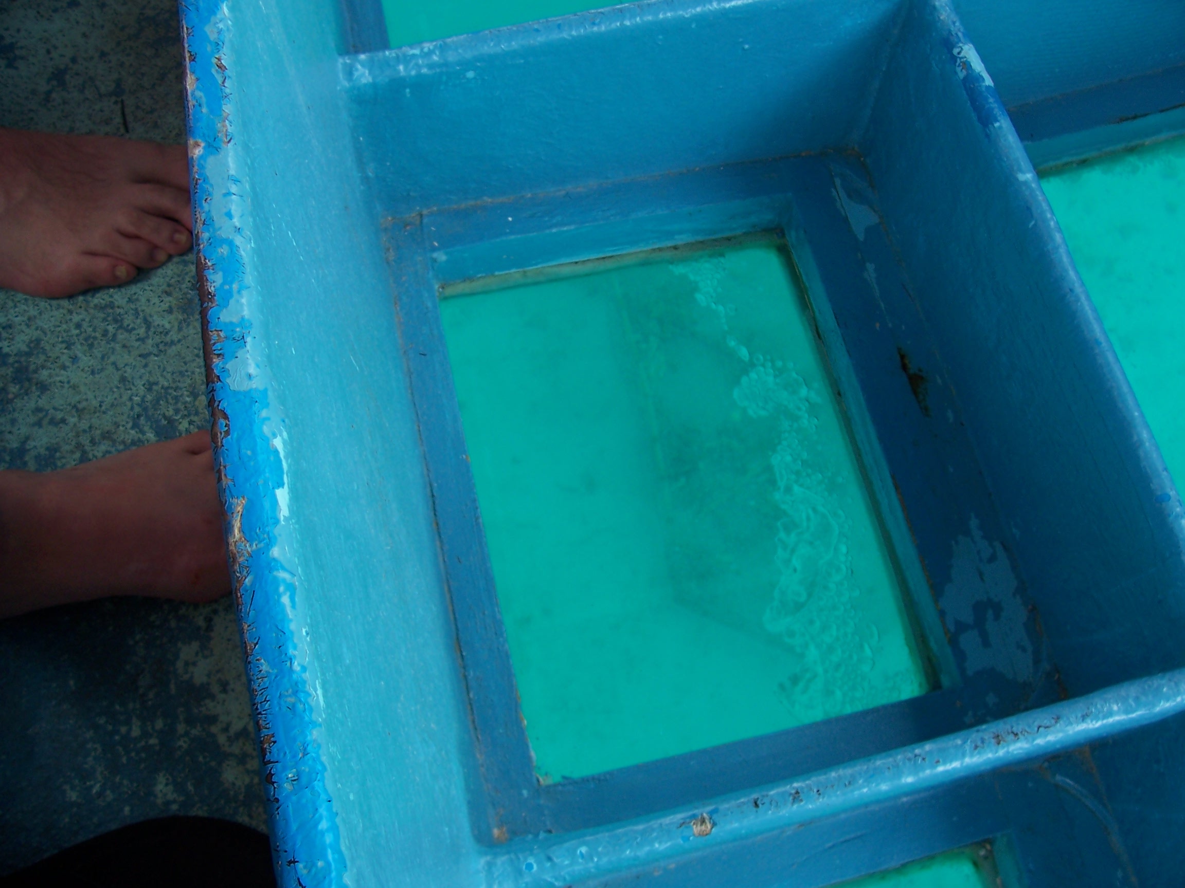 100_2128.JPG