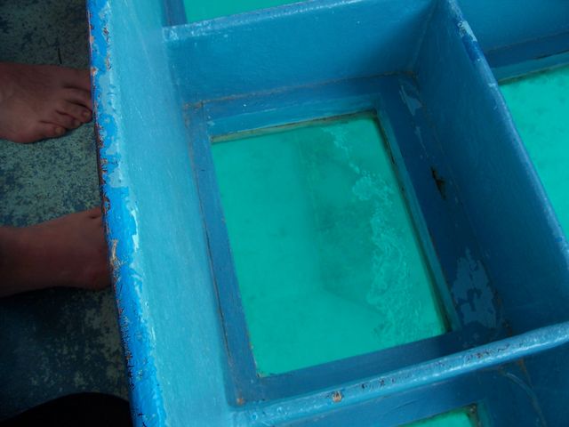 100_2128.JPG