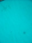 100_2132.JPG
