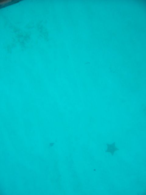 100_2132.JPG