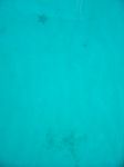 100_2133.JPG