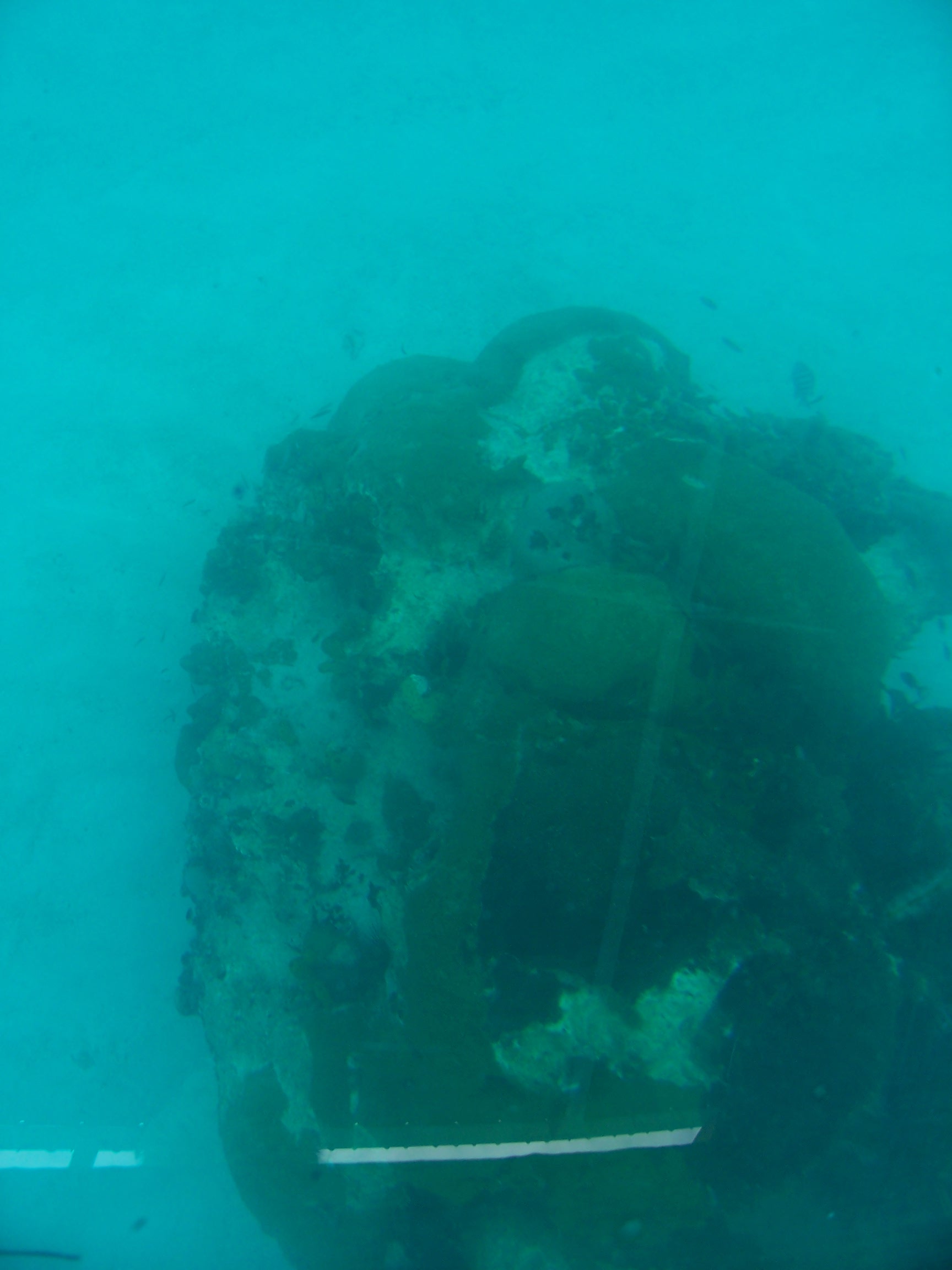 100_2134.JPG