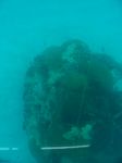100_2134.JPG