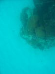 100_2136.JPG