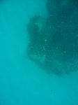100_2137.JPG