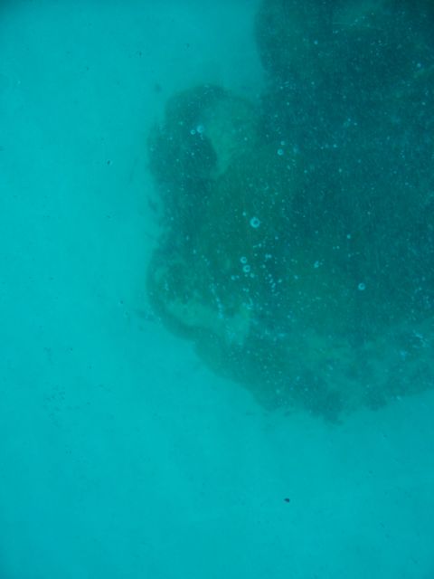 100_2137.JPG