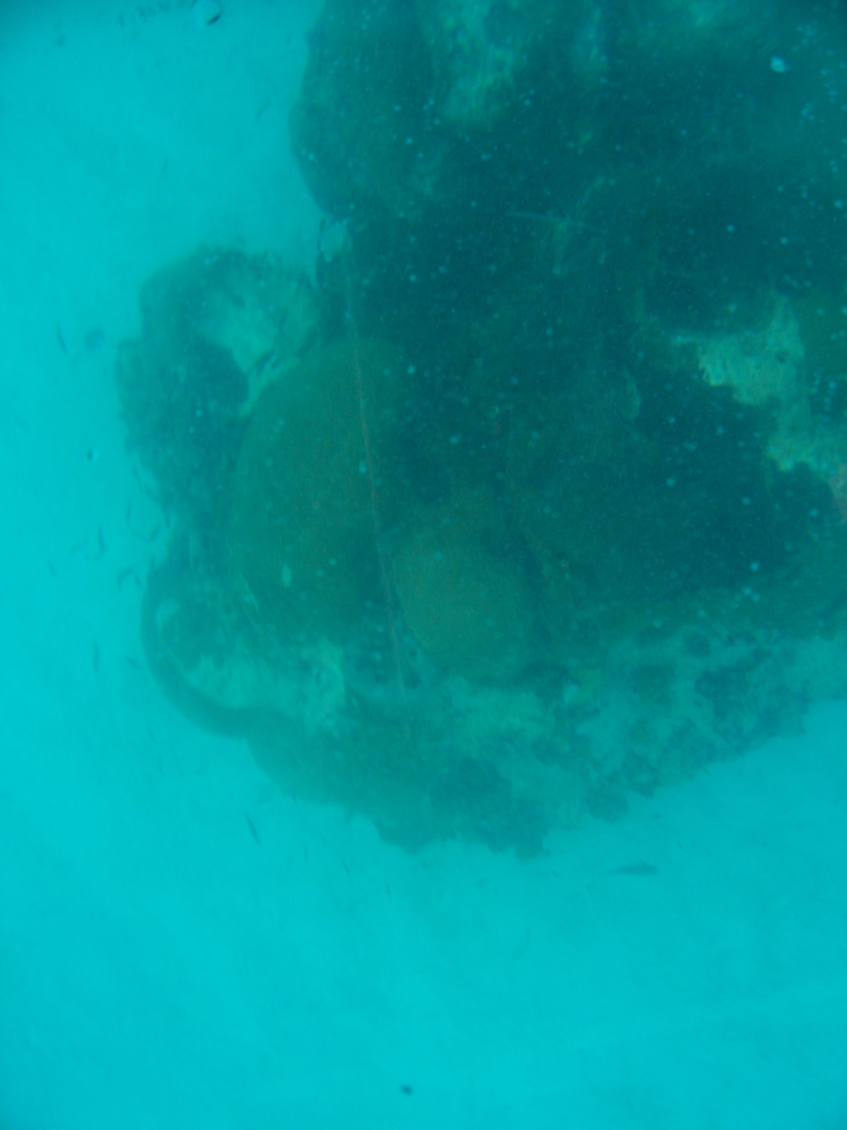 100_2140.JPG
