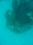 100_2140.JPG