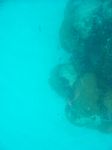 100_2141.JPG