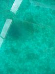 100_2144.JPG