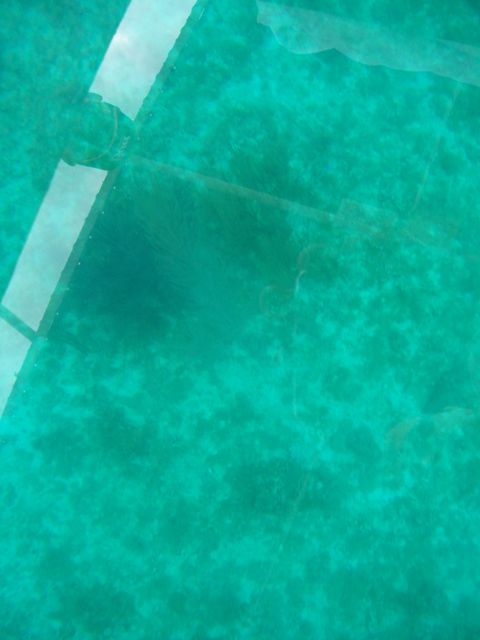 100_2144.JPG
