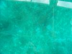 100_2145.JPG