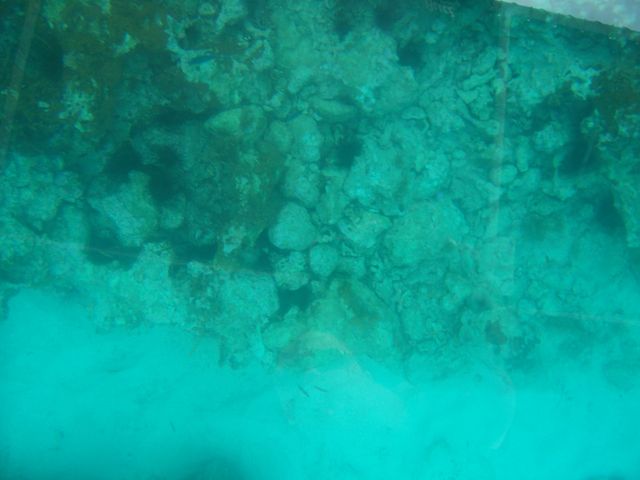 100_2146.JPG