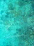 100_2147.JPG