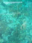 100_2149.JPG