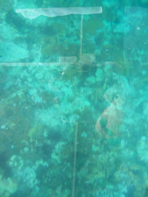 100_2149.JPG