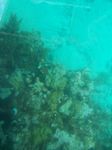 100_2153.JPG