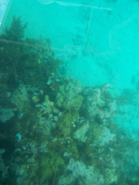 100_2153.JPG