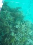 100_2154.JPG