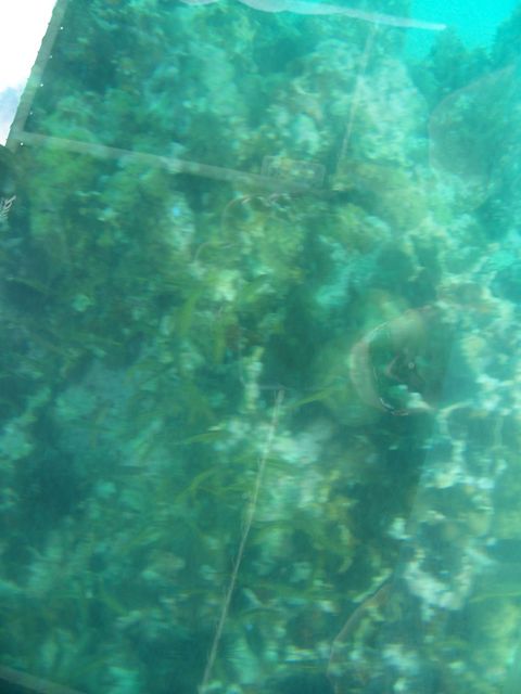 100_2155.JPG