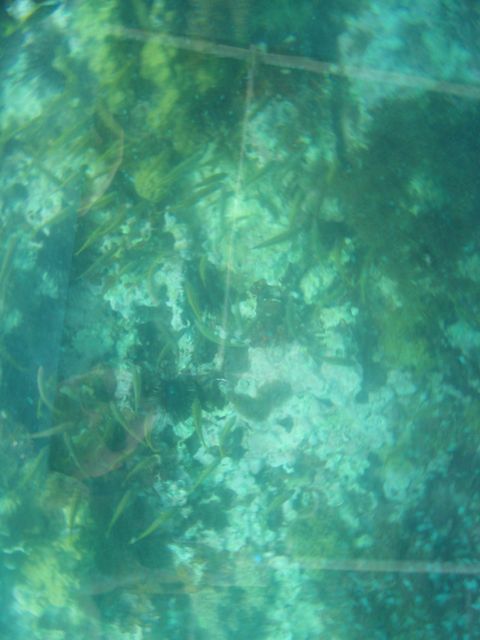 100_2156.JPG