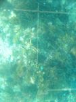 100_2157.JPG