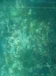 100_2158.JPG