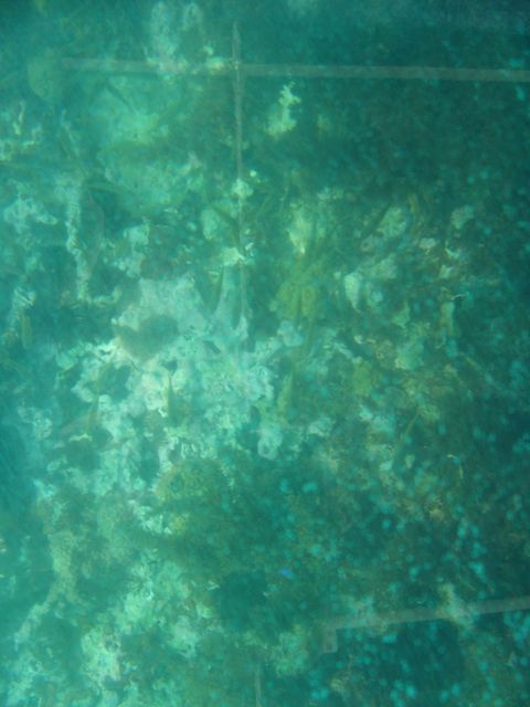 100_2158.JPG