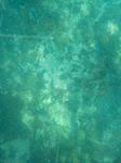 100_2159.JPG