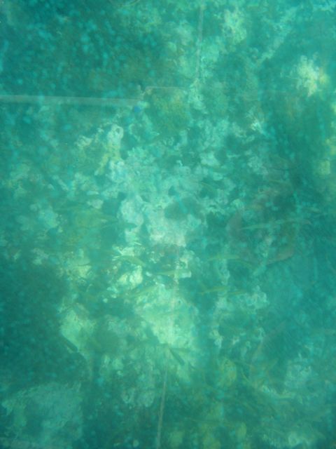 100_2159.JPG