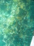 100_2160.JPG