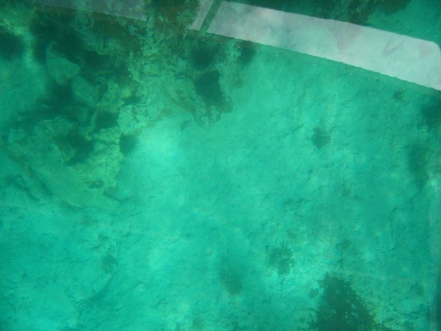 100_2161.JPG