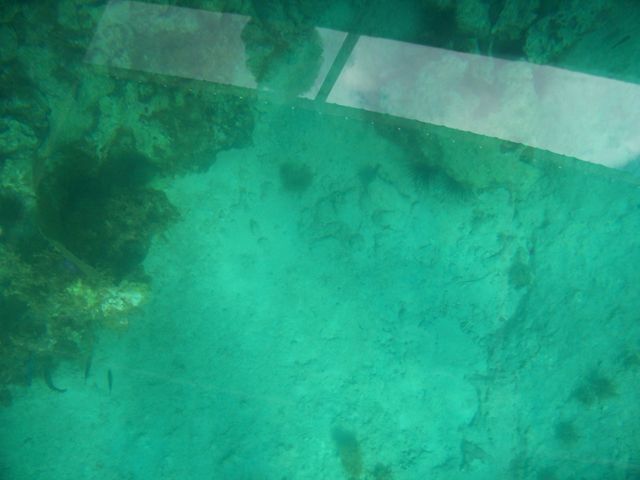 100_2162.JPG
