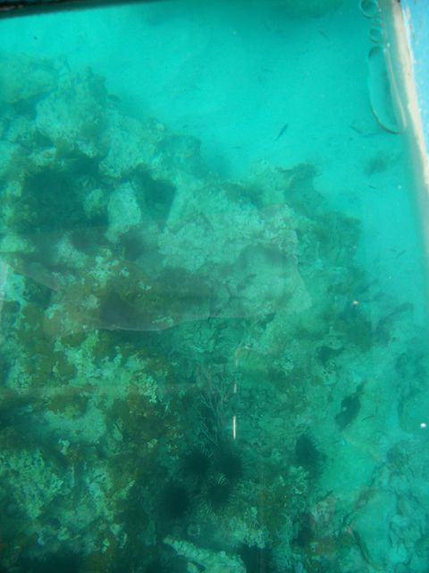 100_2163.JPG