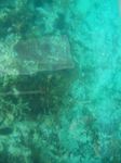 100_2164.JPG