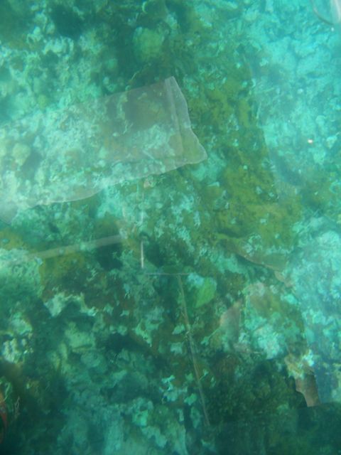 100_2165.JPG