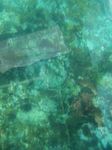 100_2166.JPG