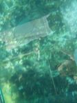 100_2167.JPG