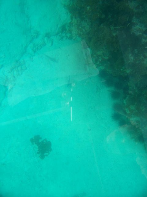 100_2169.JPG