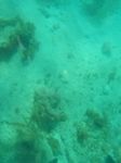 100_2172.JPG