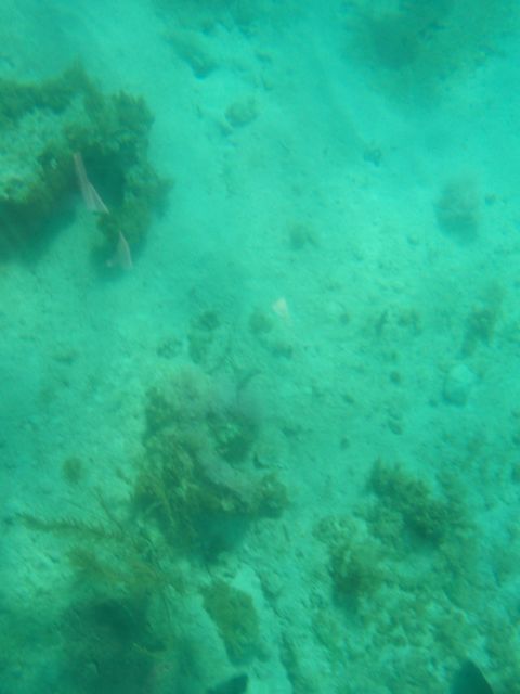 100_2172.JPG