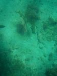 100_2173.JPG