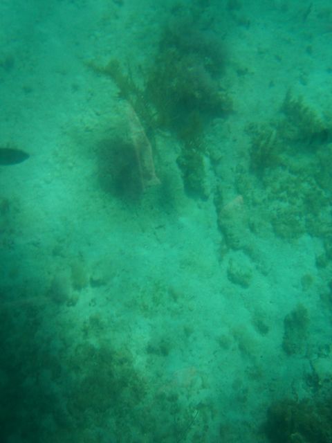 100_2173.JPG
