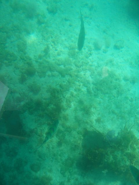 100_2174.JPG