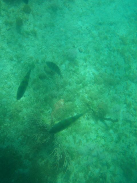 100_2175.JPG