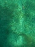 100_2176.JPG